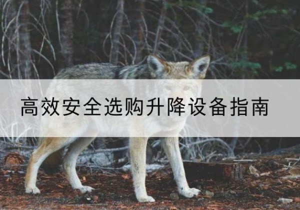 日照升降货梯厂家推荐-*安全选购升降设备指南