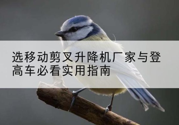 日照电动升降机厂家-选移动剪叉升降机厂家与登高车必看实用指南